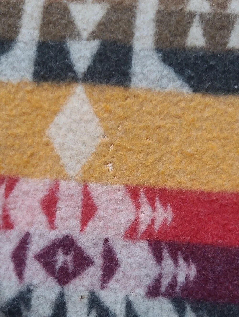 Pendleton pendelton cayuse